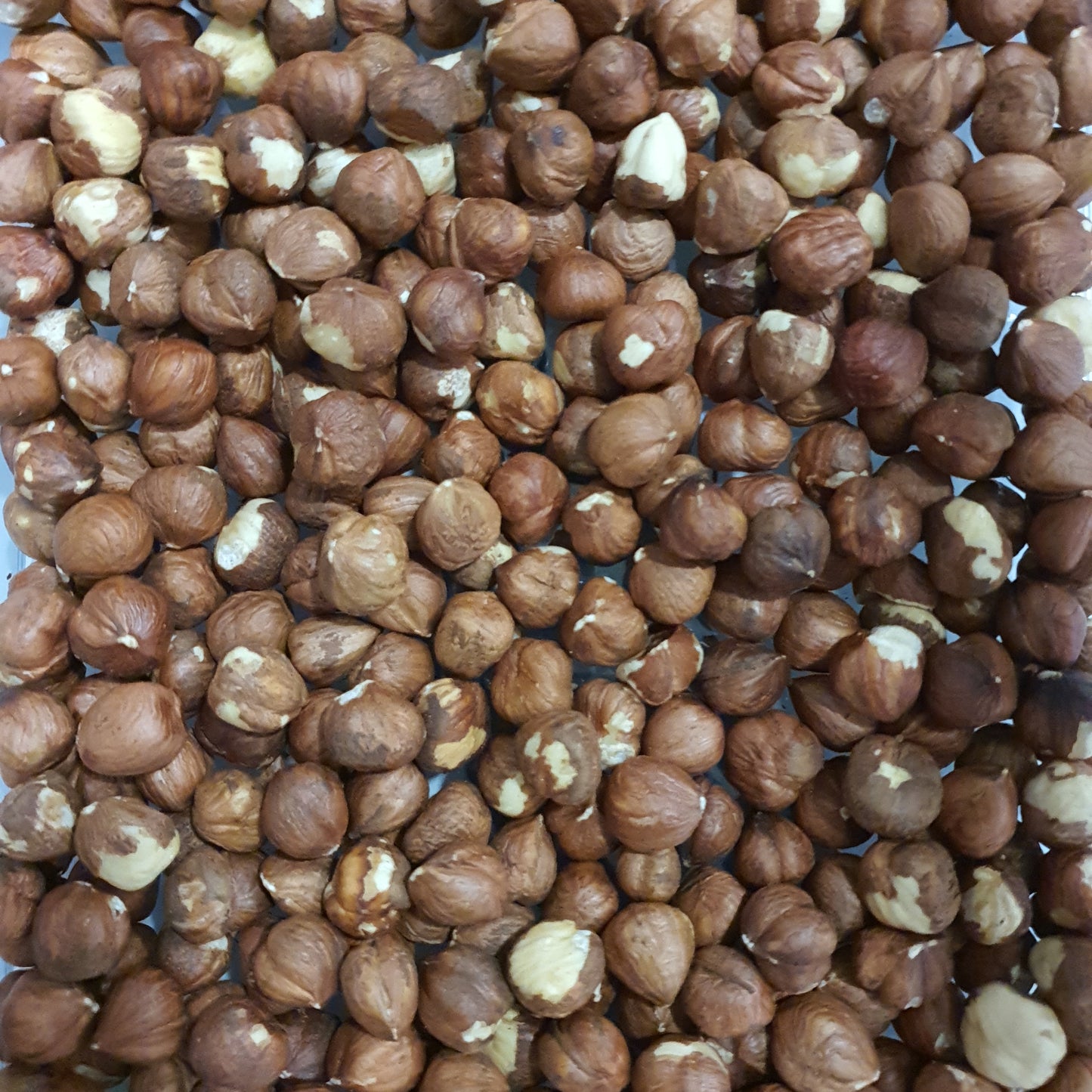 Avelã Natural com Pele