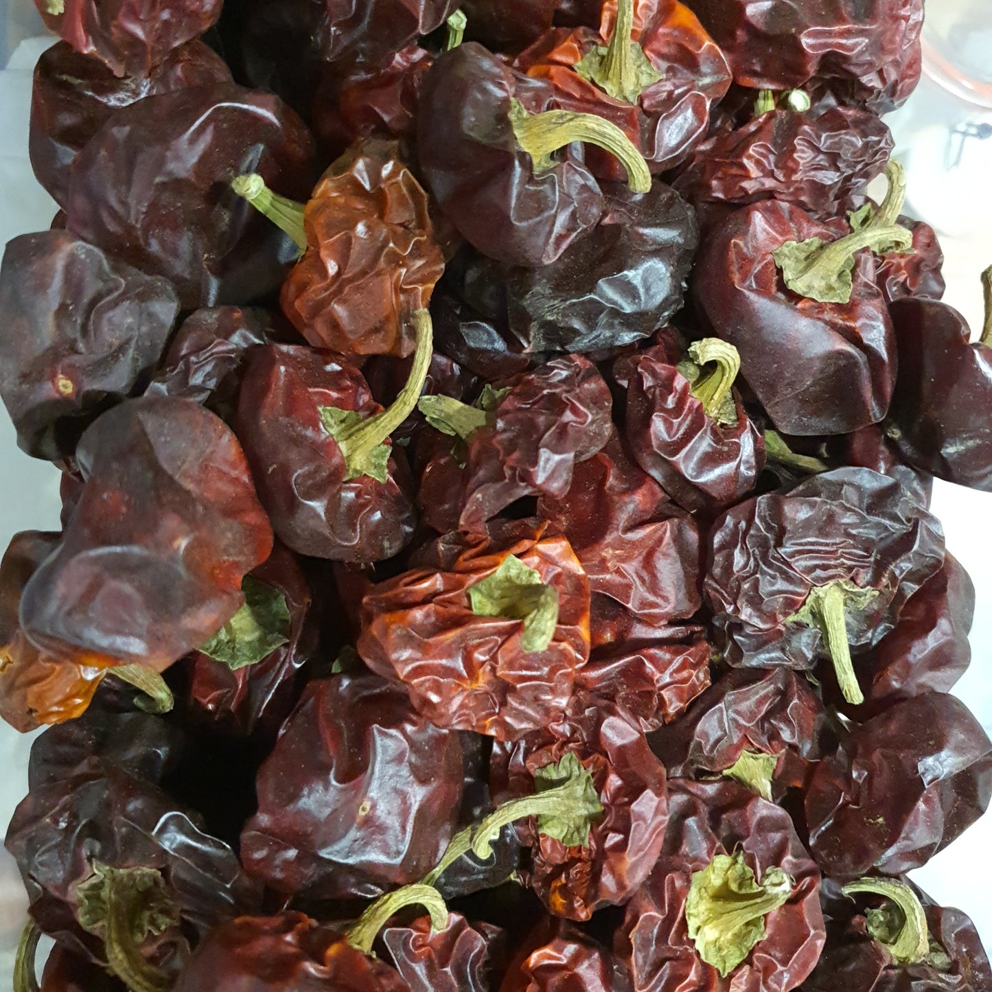 Pimento seco