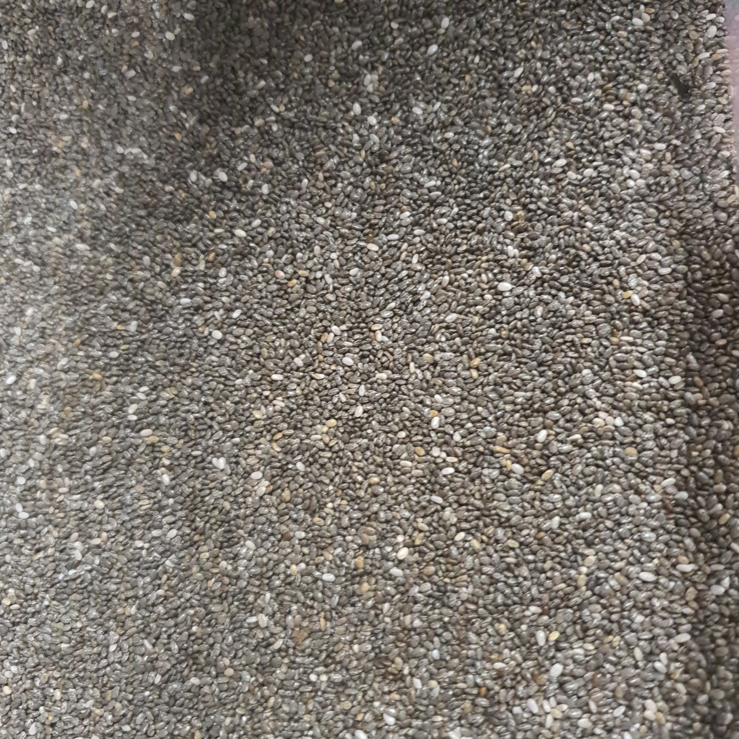Chia Escura