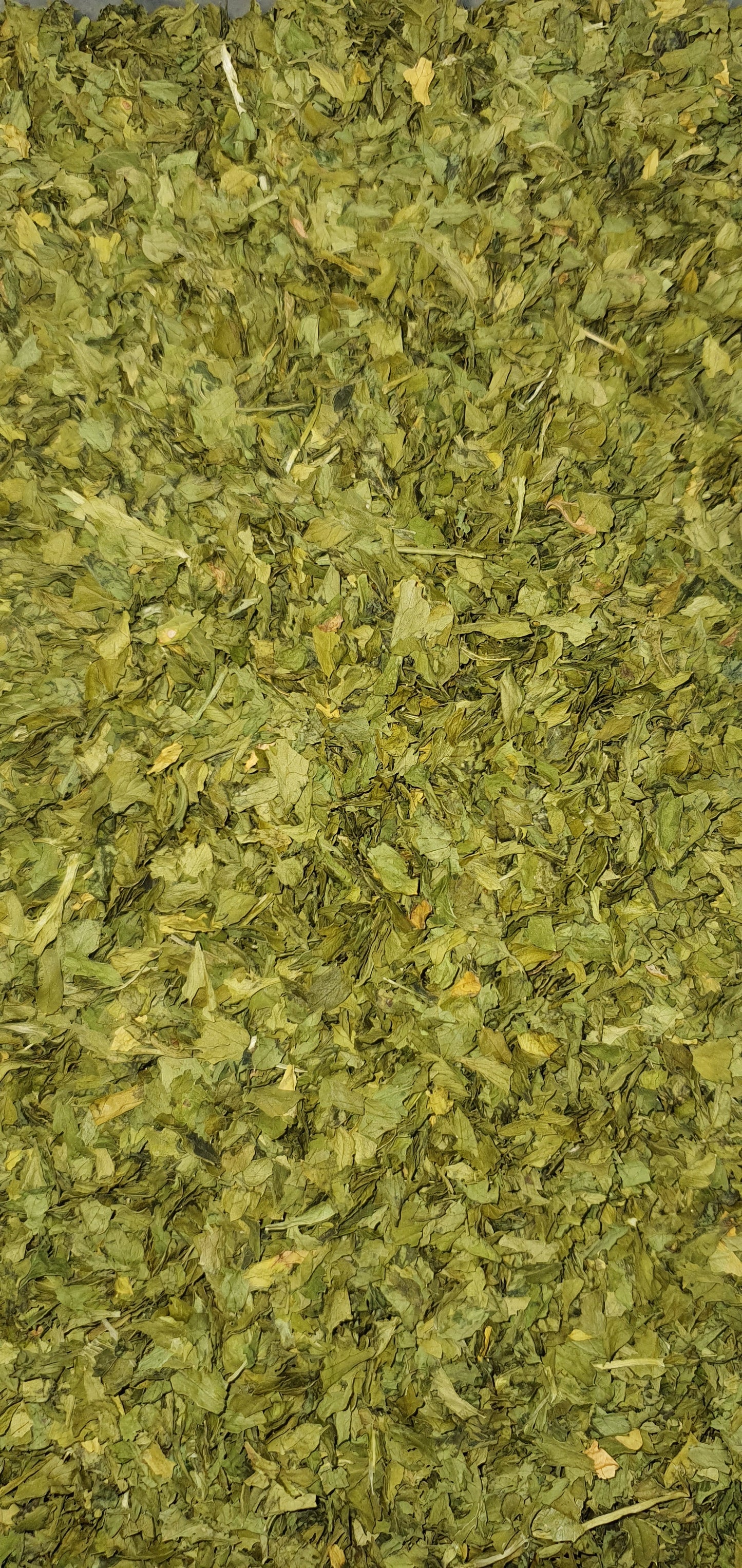 Salsa Folhas Desidratada