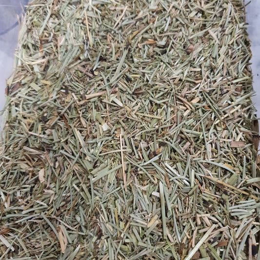 Cavalinha