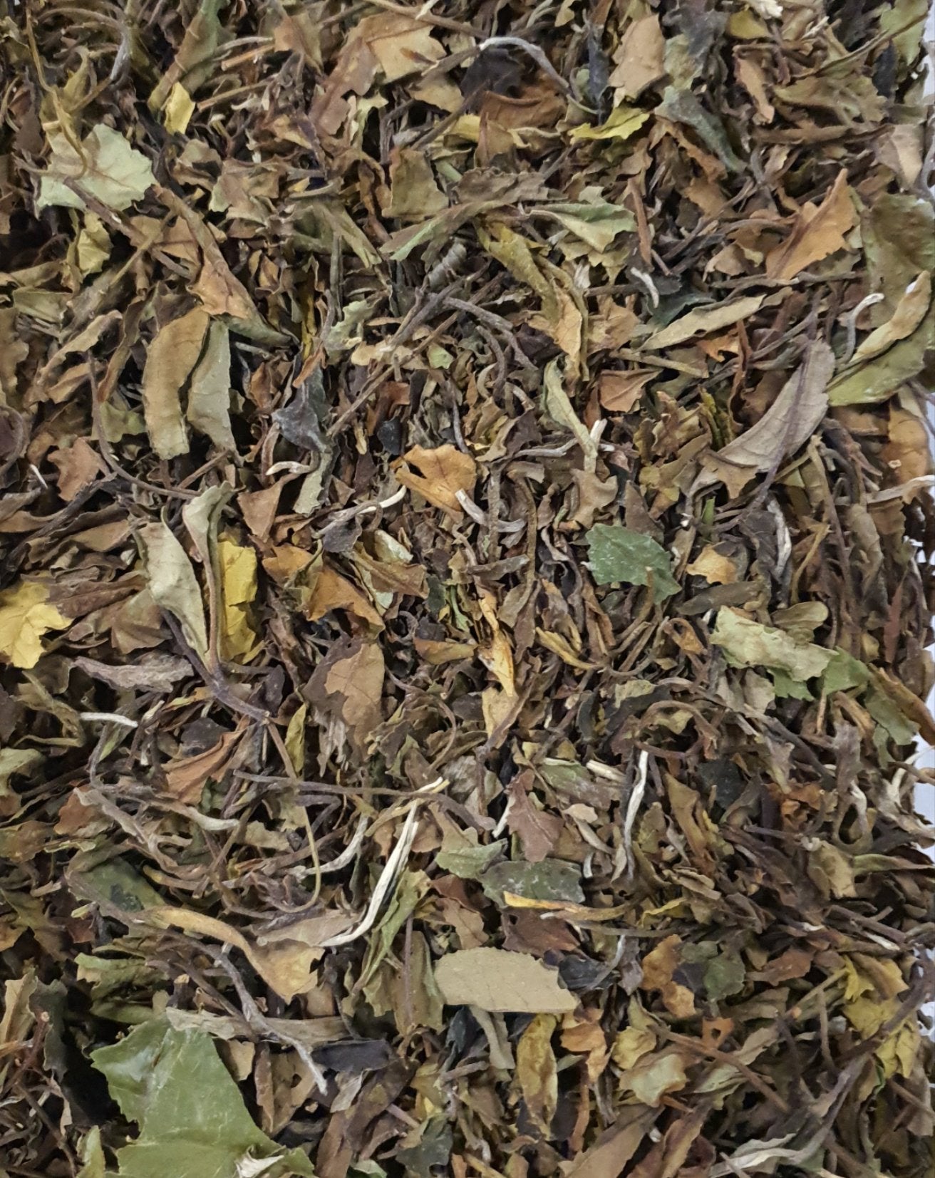 Chá branco Pai Mu Tan