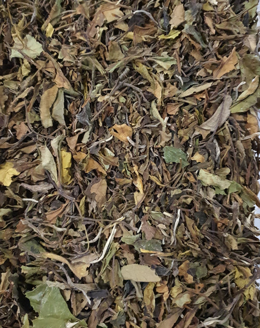 Chá branco Pai Mu Tan