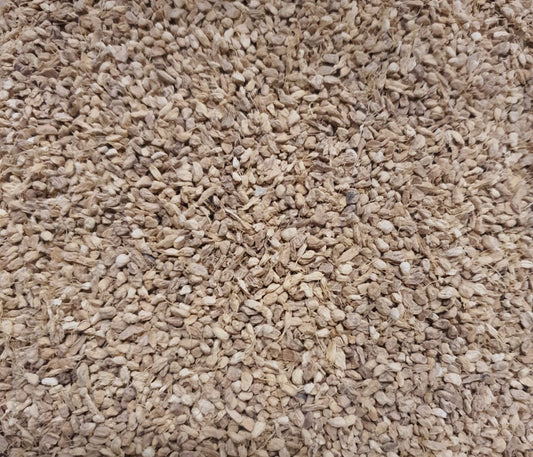 Gengibre
