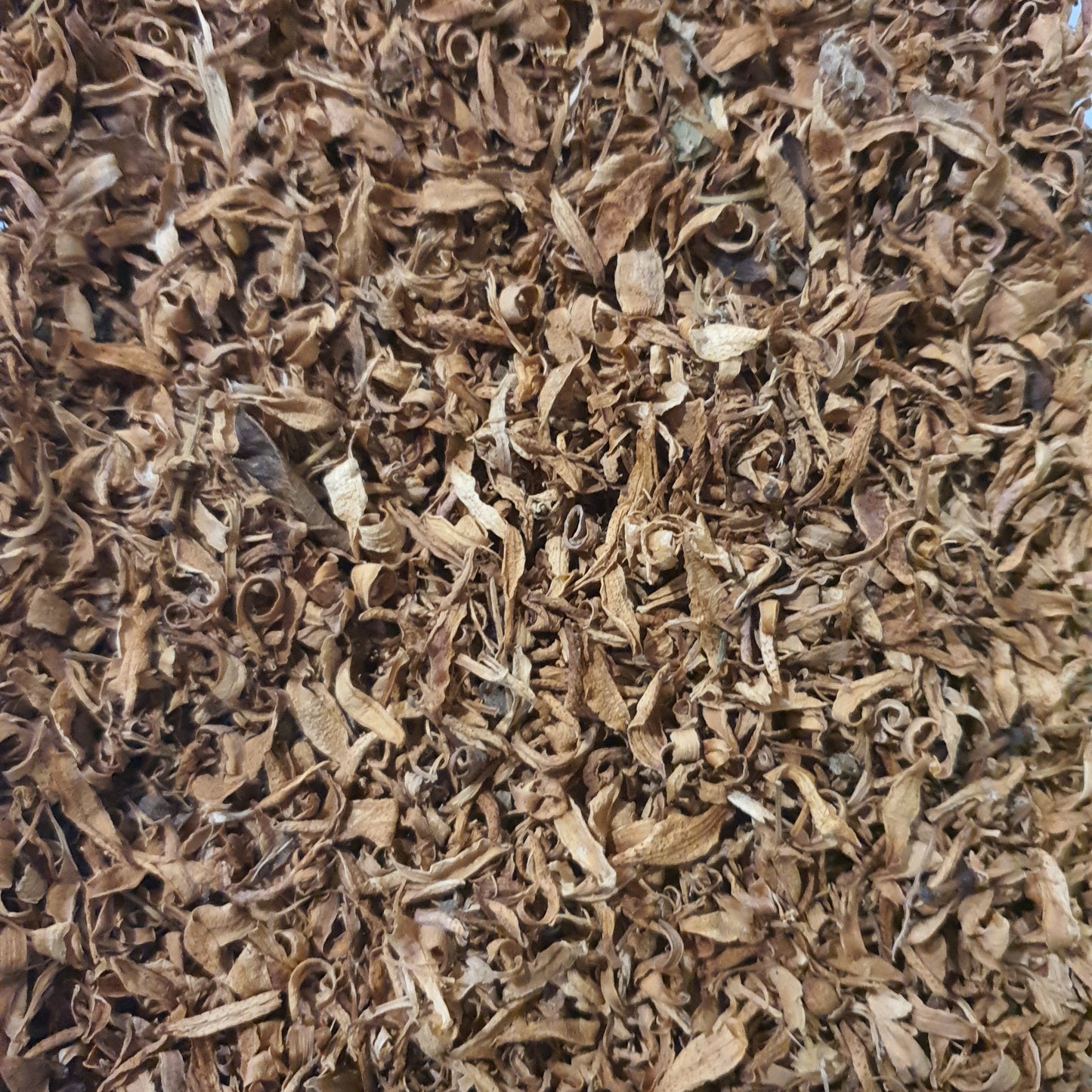 Flor de Laranjeira