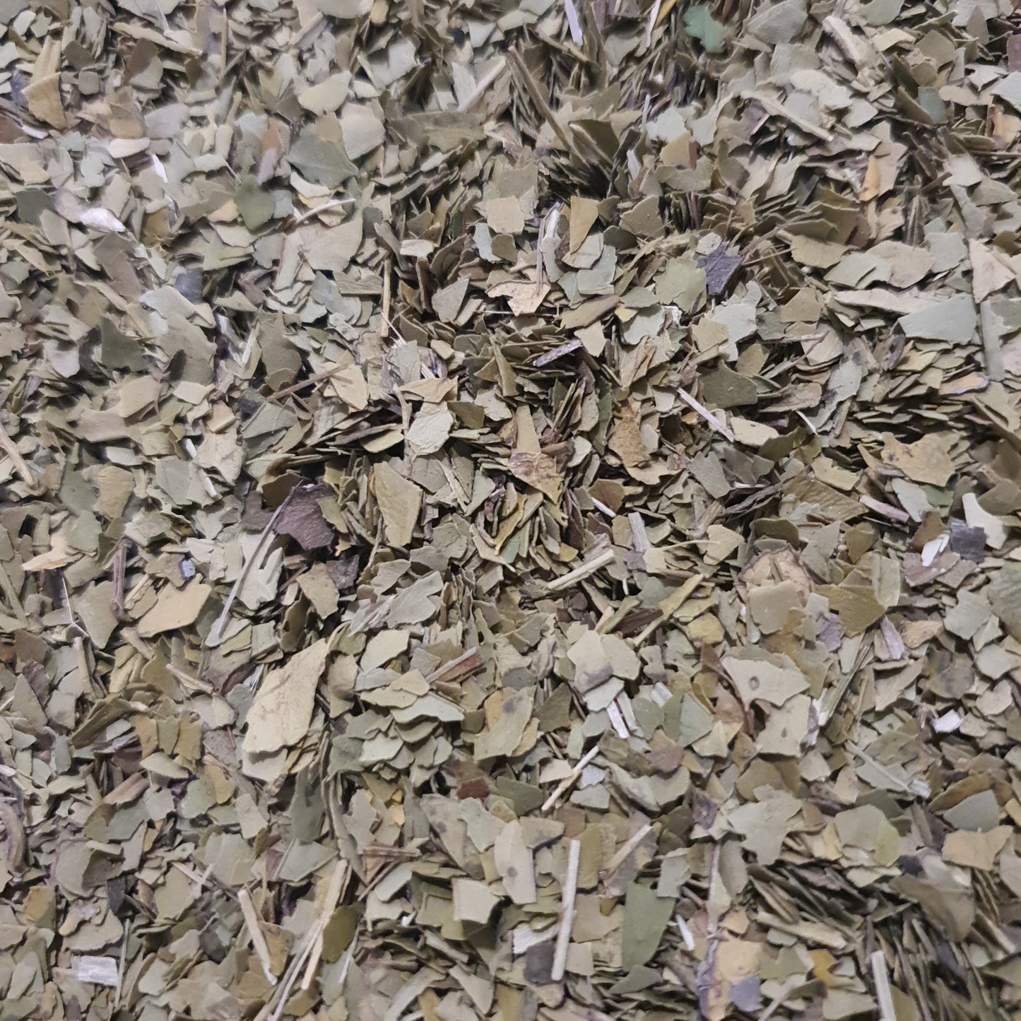 Erva-mate