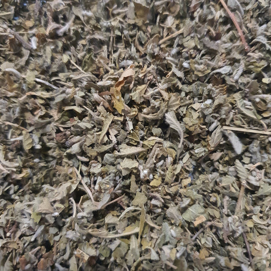 Damiana
