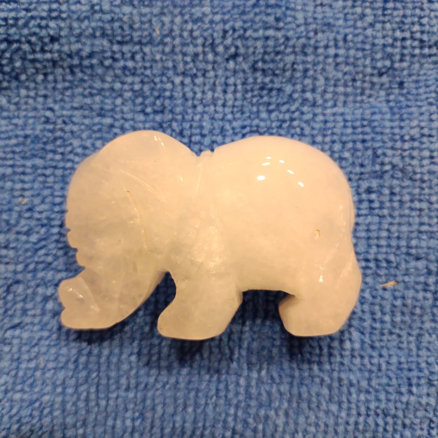 Elefante em Pedra