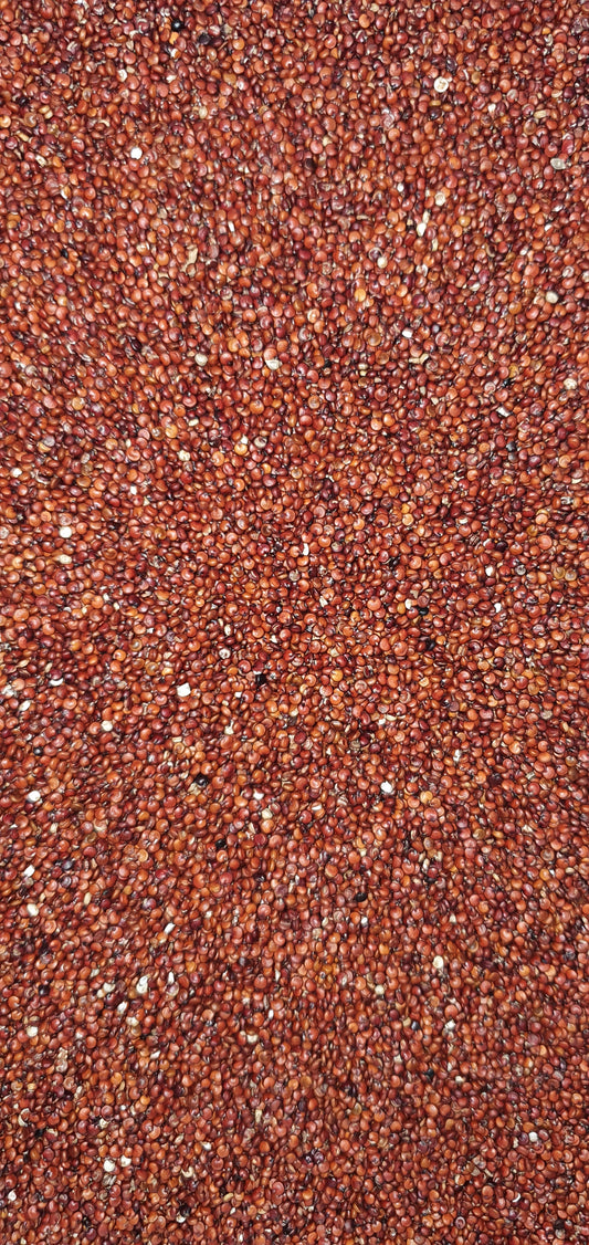 Quinoa Vermelha