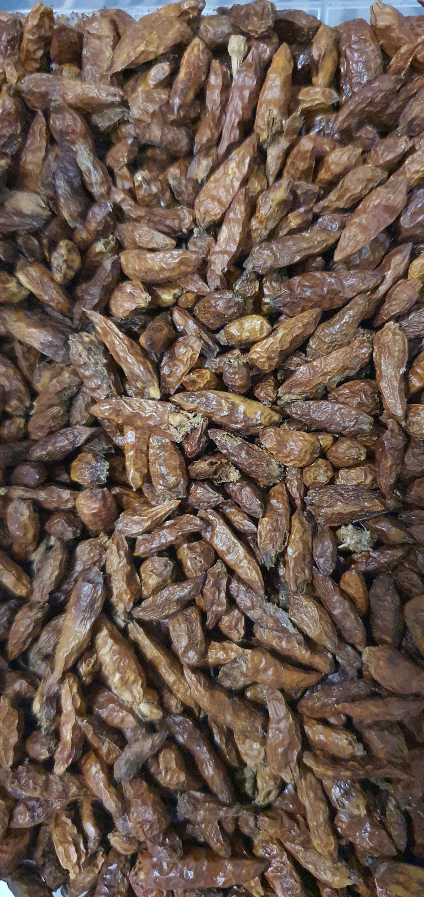 Piri Piri Seca Pimenta
